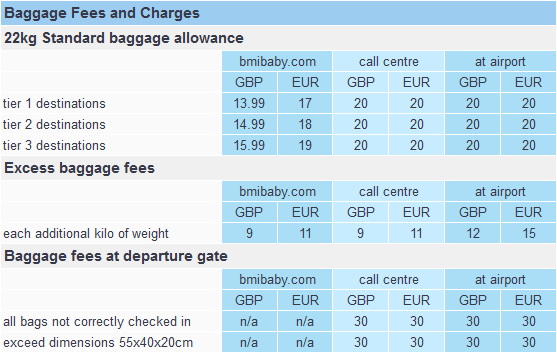 Sas infant cheap baggage allowance